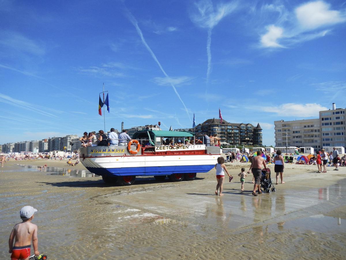 White Princess Koksijde Luaran gambar