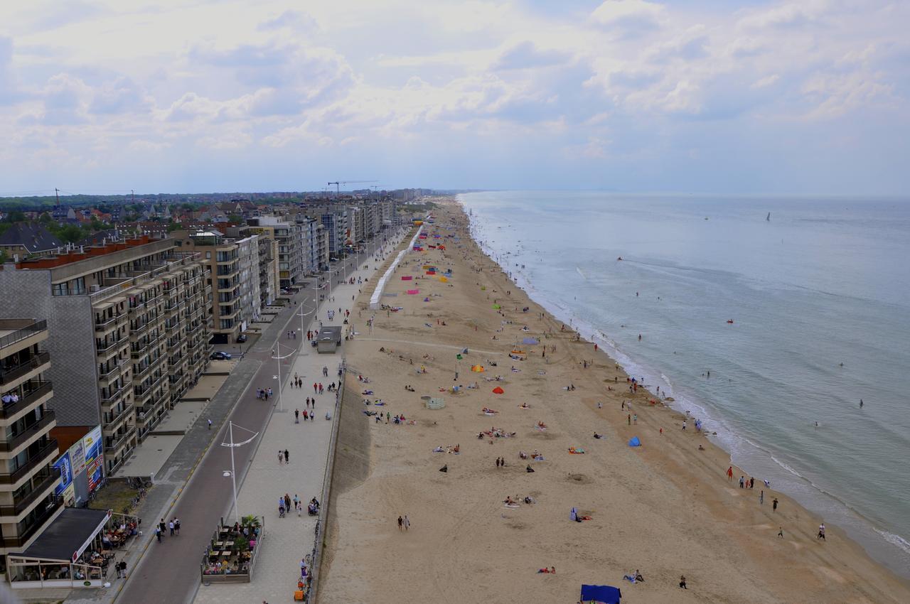 White Princess Koksijde Luaran gambar