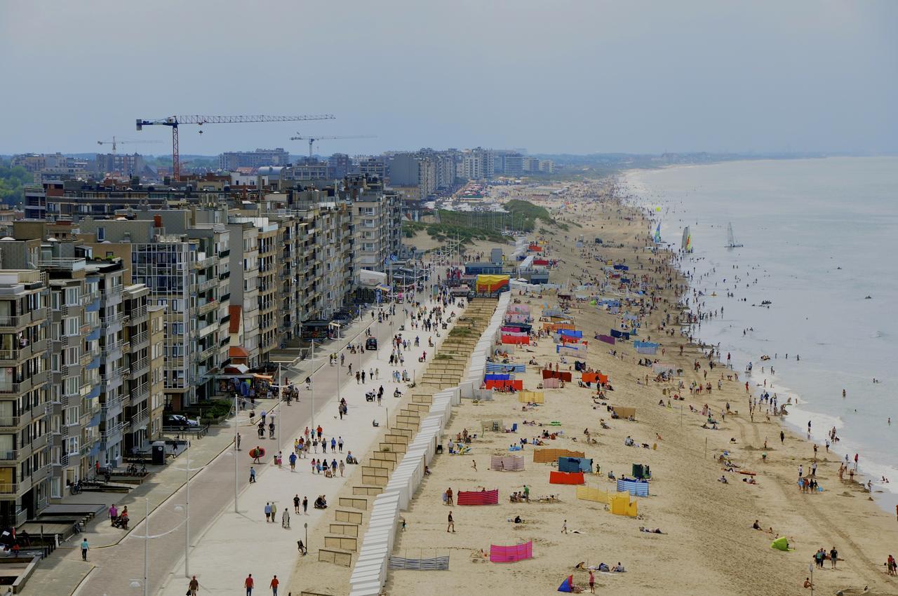 White Princess Koksijde Luaran gambar